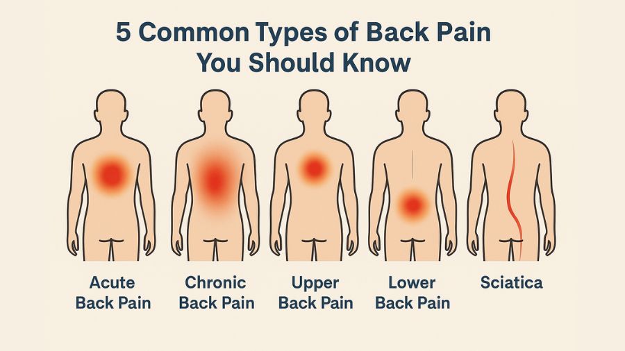 Chronic Back Pain Relief in Dwarka